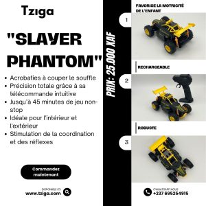 Slayer Phantom Caractéristiques